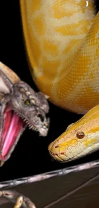 Jaw Organism Reptile Live Wallpaper