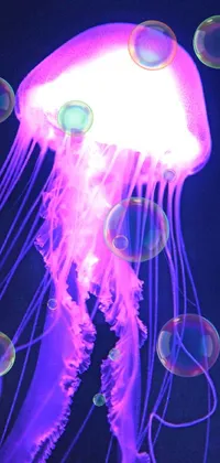 Jellyfish Light Purple Live Wallpaper