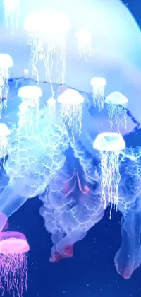 Jellyfish Liquid Light Live Wallpaper