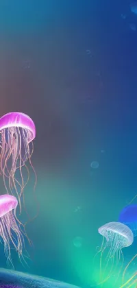 Jellyfish Marine Invertebrates Sky Live Wallpaper
