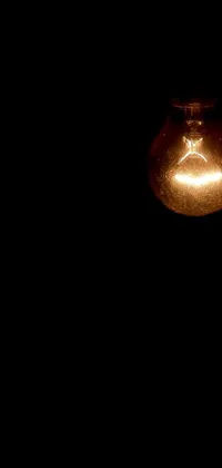 This phone live wallpaper features a stunning close-up of a light bulb in the dark, surrounded by a smoky background and a warm lantern light on the side