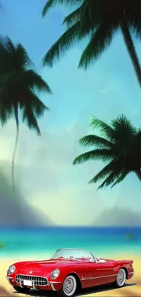 A stunning phone wallpaper of palm trees on a tropical beach