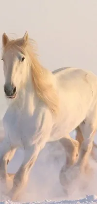 This live wallpaper features a stunning white horse running through a winter wonderland
