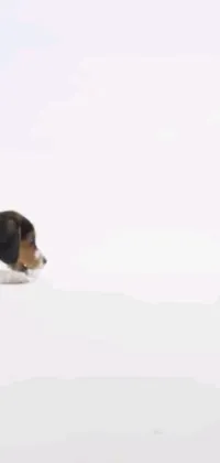 Add a charming touch to your device with this live wallpaper featuring a delightful beagle dog in a snow-filled scene