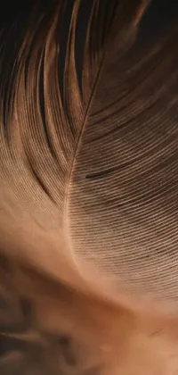 This mobile live wallpaper depicts a detailed close-up photograph of a warm brown feather on a contrasting black background