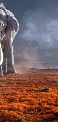 This incredible live wallpaper portrays a man and an elephant standing in a field nestled within breathtaking natural surroundings