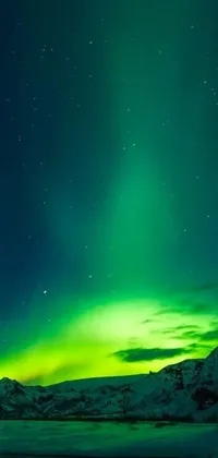 This live wallpaper showcases the aurora lights in vibrant green hues above a calm water body