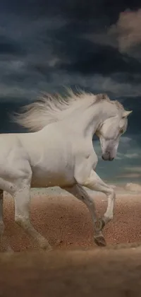 Upgrade your phone background with a surrealistic live wallpaper of a stunning white horse running through a sandy field