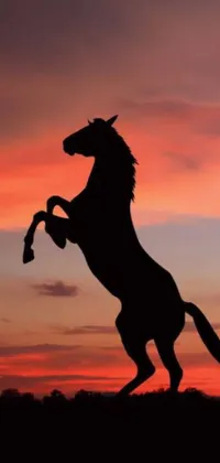 Add a touch of wildness and beauty to your phone with this horse silhouette live wallpaper