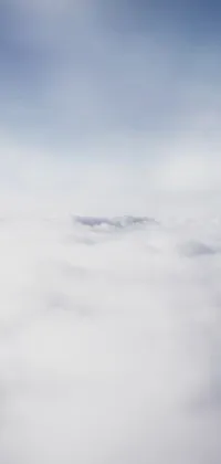 This live wallpaper for phones features a realistic airplane flying high above the clouds
