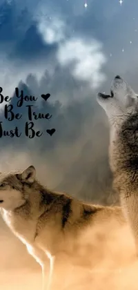 This phone live wallpaper showcases two wolves standing closely together in a natural setting