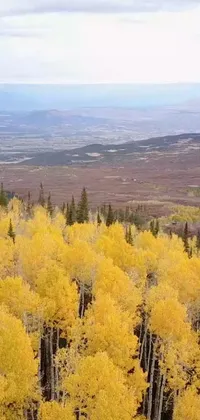 Enhance your phone's home screen with an awe-inspiring forest live wallpaper! This captivating wallpaper showcases a lush forest filled with yellow trees, offering a stunning view of Utah's natural environment captured in a 480p resolution