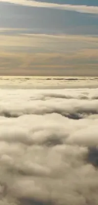 Looking for a stunning live wallpaper for your phone? Check out this amazing wallpaper featuring a plane flying high above the clouds in a fantastic realistic scene