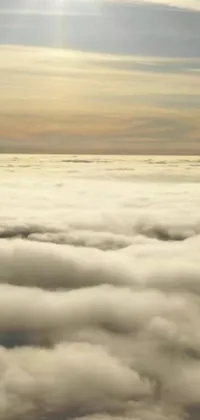 This stunning phone live wallpaper features a plane soaring high above a blanket of yellow-hued clouds