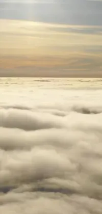 Experience the thrill of flying with this stunning live wallpaper for your phone