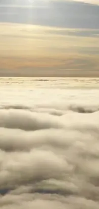 This live wallpaper features a plane soaring above vast puffy clouds and fog