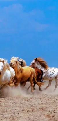 This phone live wallpaper showcases a group of horses running across a sandy field