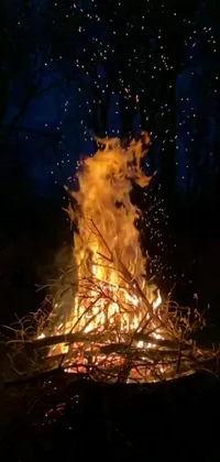 This phone live wallpaper showcases a beautiful and mesmerizing fire in the midst of darkness, which adds a warm and comforting atmosphere to your screen