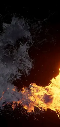 Get lost in the beauty of flames with this stunning live wallpaper