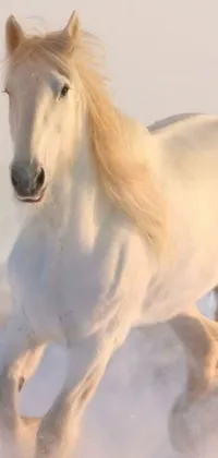 This live wallpaper features a stunning white horse galloping through a snowy field