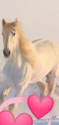 This live wallpaper showcases a beautiful white horse running through a snowy field