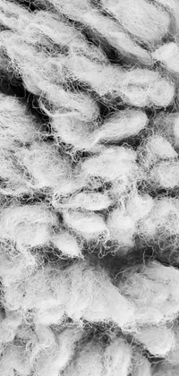 This live wallpaper showcases a pile of wool in black and white