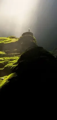 This phone live wallpaper features a tranquil and mystical scene of a person standing inside a moss-covered cave