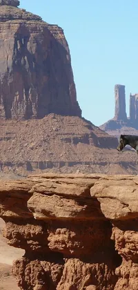 This live phone wallpaper features a dynamic scene of a rider on a black horse, galloping through Monument Valley's stunning landscape