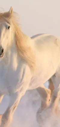 This phone live wallpaper features a stunning white horse galloping through a serene winter landscape