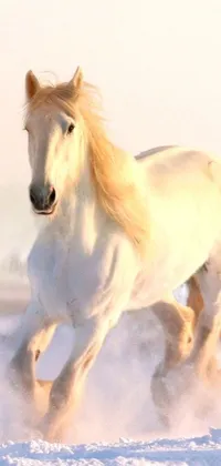 This white horse live wallpaper showcases a realistic digital rendering of a horse running in the snow