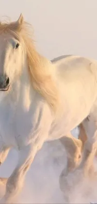This phone live wallpaper features a breathtaking scene of a majestic white horse running through the snow