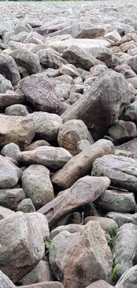 This phone live wallpaper showcases a stunning photo of a man standing atop a towering pile of rocks found in a dry river bed in New Hampshire