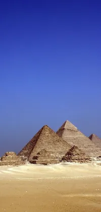 This captivating phone live wallpaper showcases a man flying a colorful kite in front of three pyramids set against a clear blue sky, ancient ruins, camels, and palm trees