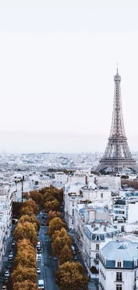 This live wallpaper depicts a gorgeous view of the famous Eiffel Tower taken from high up on a building