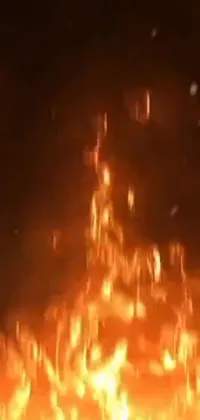 Looking for an attention-grabbing live wallpaper for your phone? Look no further than this incredible fire live wallpaper! Perfectly capturing the intensity and beauty of a raging fire, this wallpaper features stunning footage of fiery orange and yellow flames, set against a slightly blurred background for added depth and realism