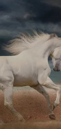 This phone live wallpaper showcases a stunning digital art masterpiece featuring a white horse running across a sandy field