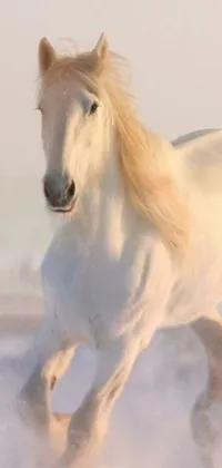 This live phone wallpaper features a beautiful white horse running through a snowy landscape
