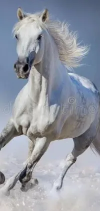 This live wallpaper features a majestic white horse galloping through a serene snowy landscape