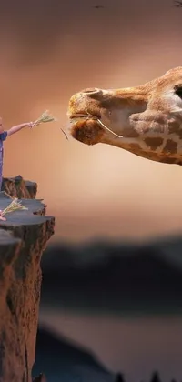 The live wallpaper portrays a breath-taking imagery of a young boy and a giraffe that are reaching towards each other on a cliff situated in a scenic savanna landscape