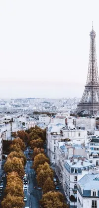 Looking for a stunning phone wallpaper that captures the beauty of Paris during the fall season? Look no further than this HD phone wallpaper featuring the iconic Eiffel Tower towering over the city! This fine art design is available in 2040 x 1080 pixel resolution and boasts a flatlay style, providing a sleek and modern look for your phone