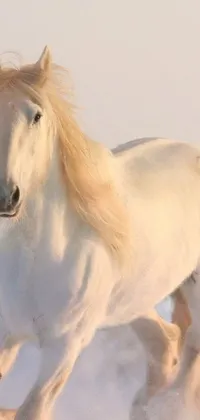 "Enhance the visual appeal of your phone with a majestic live wallpaper featuring a white horse running in the snowy background