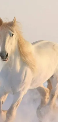 This live wallpaper features a stunning white horse running in the snow