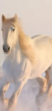 Enjoy the stunning beauty of nature with this live wallpaper featuring a white horse running through the snow