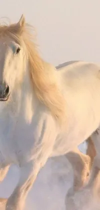 This phone live wallpaper features a majestic white horse galloping through the snow
