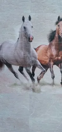 This phone live wallpaper showcases two horses running in the dirt with hyperrealistic detail