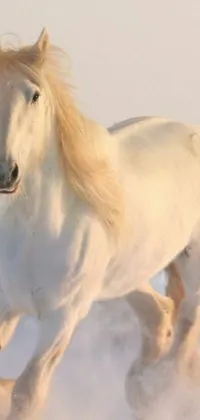This phone live wallpaper portrays a majestic white horse galloping through a snowy landscape