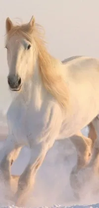 This phone live wallpaper captures the beauty of winter with a magnificent white horse galloping through the snow