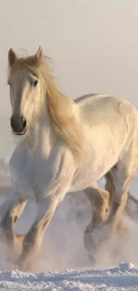 This phone live wallpaper showcases a digital depiction of a beautiful white horse galloping through a snowy landscape