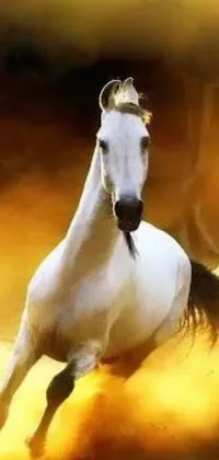 For horse lovers and art enthusiasts, this stunning phone live wallpaper features a magnificent white horse running in the dirt with a screenshot effect