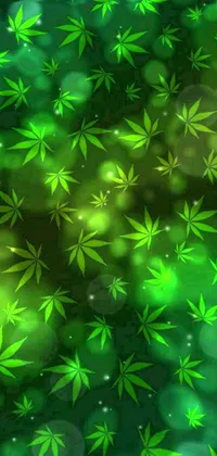 weed leafs wallpaper